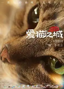 电影爱猫之城全国上映治愈系萌猫打动人心
