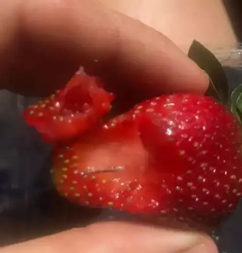 造成全澳人心惶惶的草莓藏针案惊现反转,检方今日撤销所有指控
