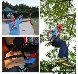 小途夏令营海岛荣耀少年夏令营电视真人秀给孩子一个新挑战
