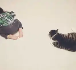 生个孩子,养只猫,生活更美好
