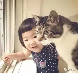 猫真的通人性吗

