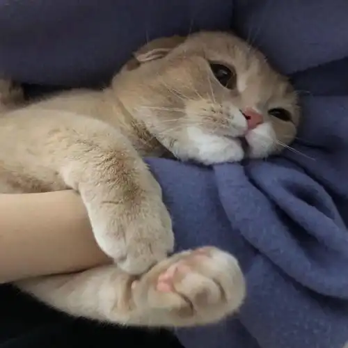 微信头像大全今天你换头像了吗
