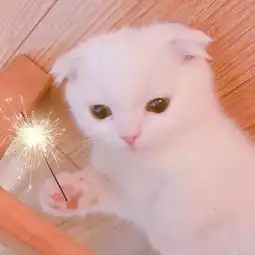 6月中旬能够一跃成为百万富翁的四大生肖
