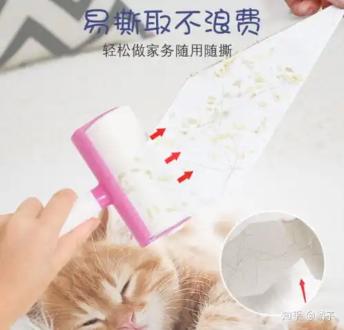 养猫会给日常生活带来哪些不便
