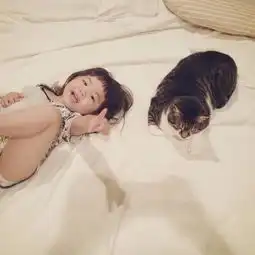 绝对治愈系照片孩子与猫咪的日常生活
