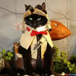 怪物猎人世界随从猫可爱cos再萌点就完美
